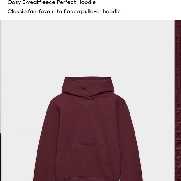 Aritzia Perfect Hoodie Swearfleece L plum maroon - Picture 4 of 6